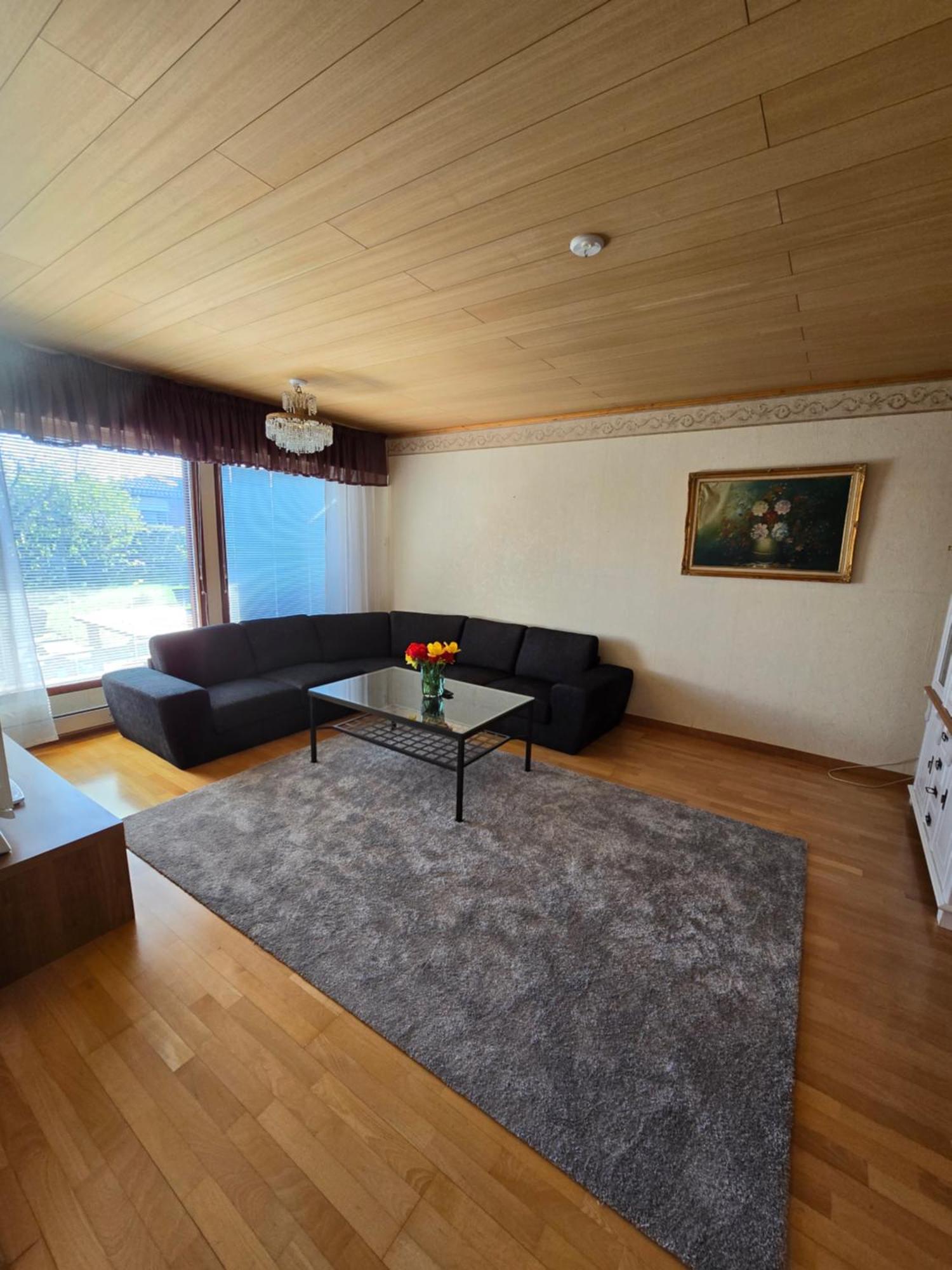 Anttoninvahe 7 130M2 With Garden And Sauna Etc Раума Экстерьер фото