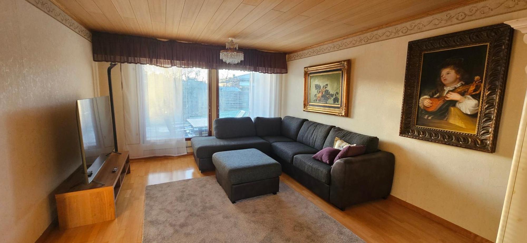 Anttoninvahe 7 130M2 With Garden And Sauna Etc Раума Экстерьер фото